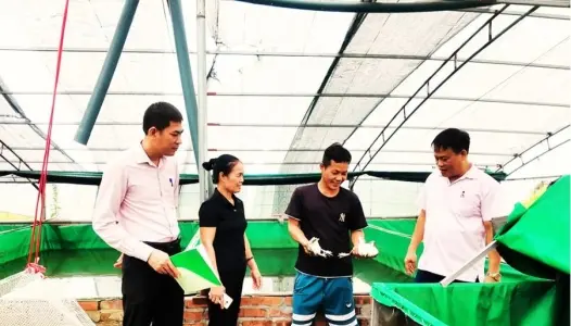 PHÚ THỌ: Mở lối cho người lầm lỡ