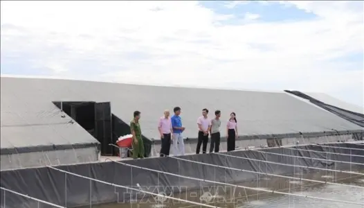 NINH BÌNH: Tín dụng chính sách tiếp sức hành trình hoàn lương