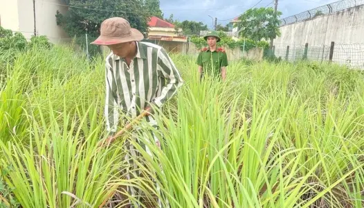 LÂM ĐỒNG: Hành trình thức tỉnh của phạm nhân trẻ đang chấp hành án tại Trại tạm giam số 2