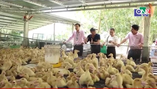 QUẢNG NGÃI: Điểm tựa cho người hoàn lương