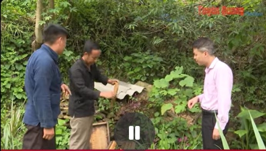 TUYÊN QUANG: Đồng hành với người hoàn lương tái hoà nhập cộng đồng