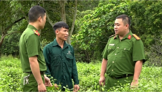 LÀO CAI: Đồng hành để tái hòa nhập tốt hơn