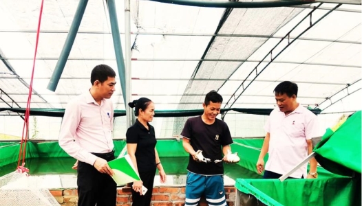PHÚ THỌ: Mở lối cho người lầm lỡ