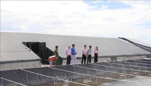 NINH BÌNH: Tín dụng chính sách tiếp sức hành trình hoàn lương