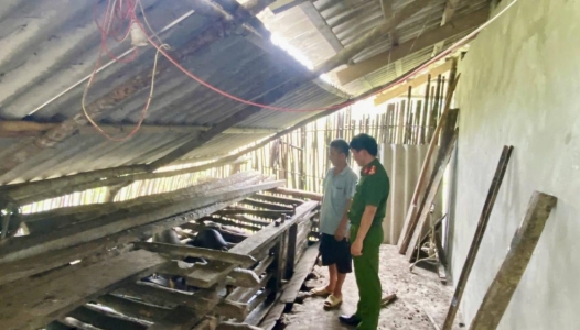 CAO BẰNG: Những con giống nghĩa tình từ mô hình “Chung tay – Vững bước ngày mai”